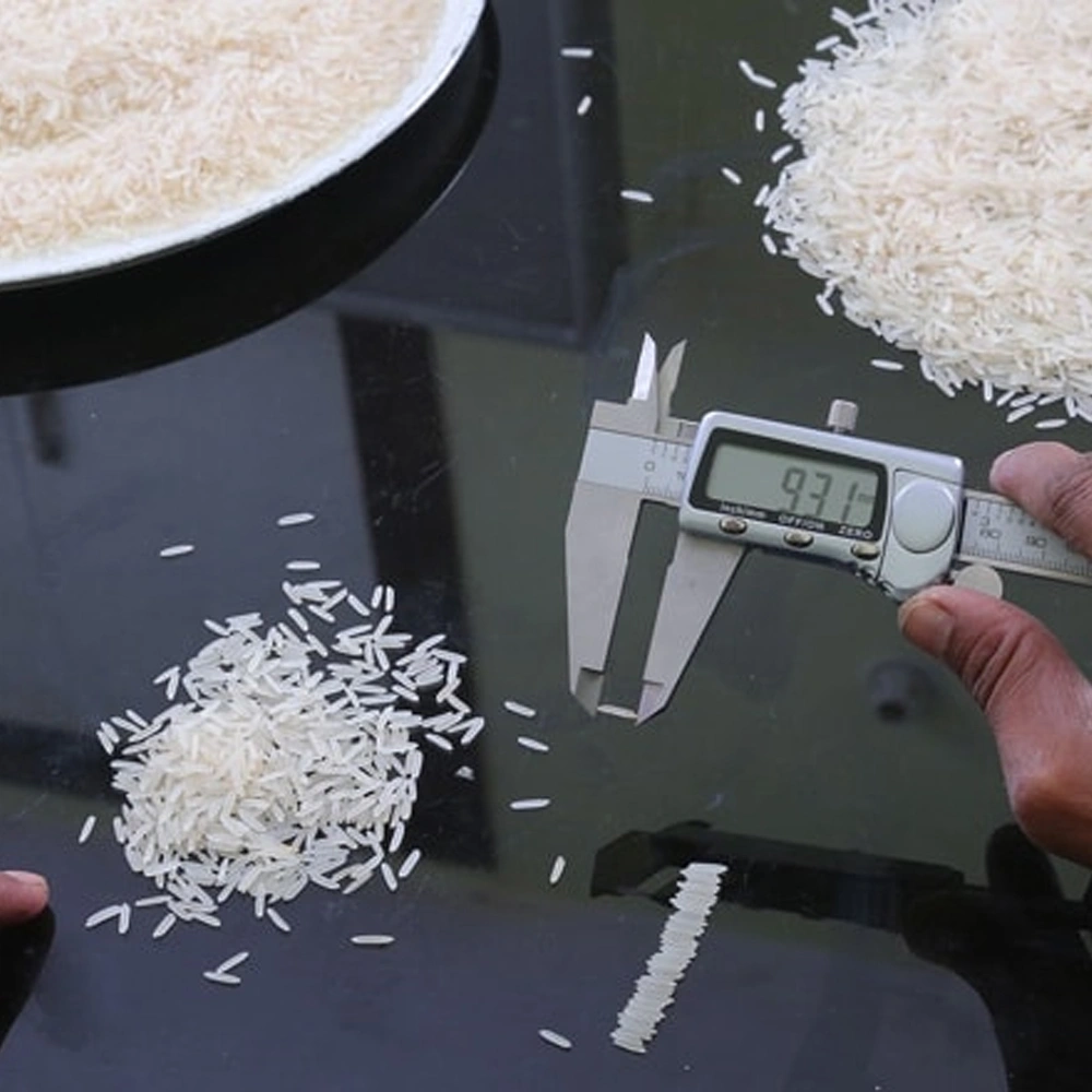 Rice Length measuring Caliper