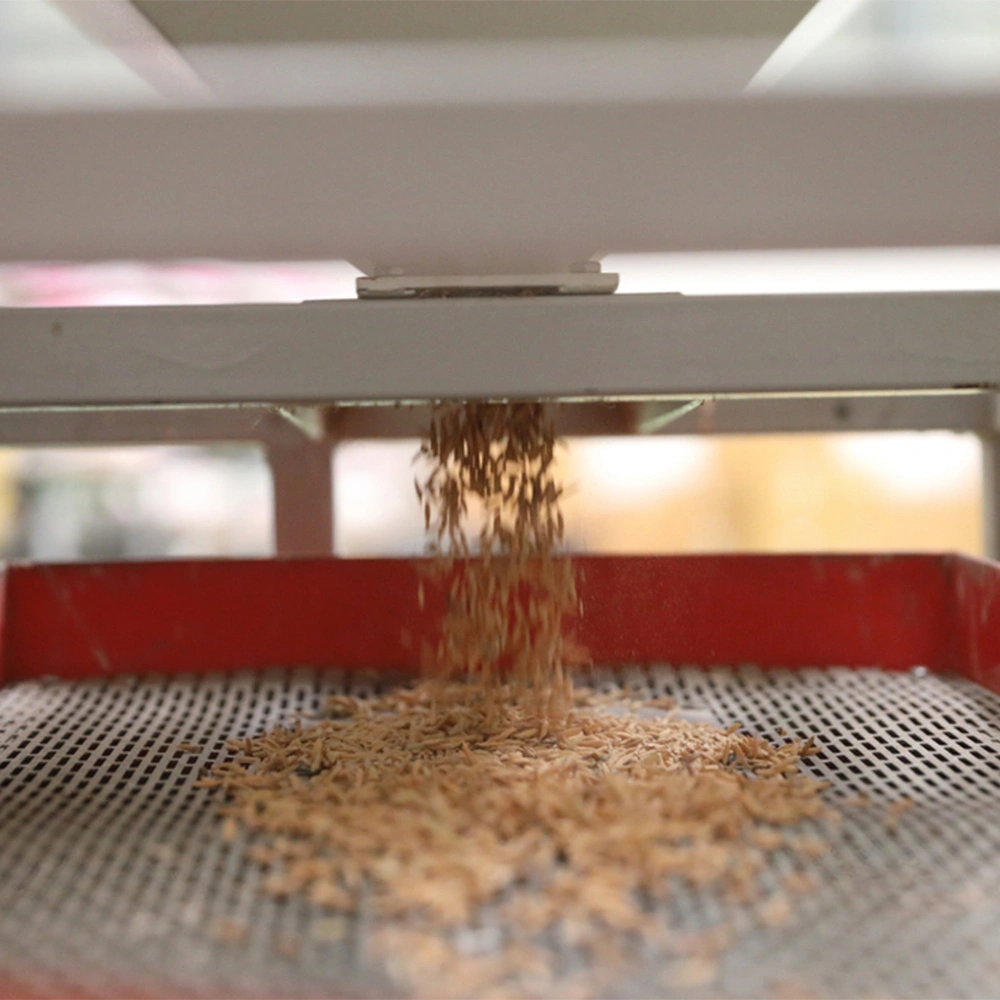 Rice Polisher